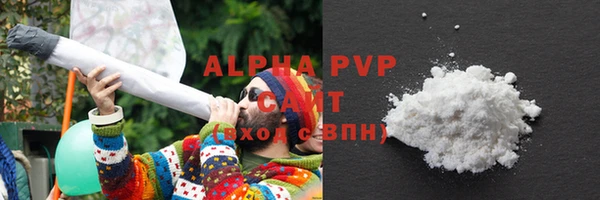 a pvp Белокуриха