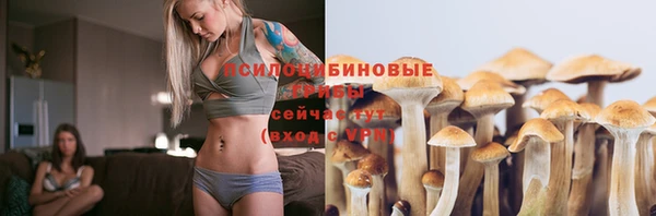каннабис Богородицк