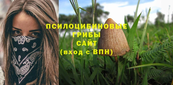 мяу мяу мука Белоозёрский