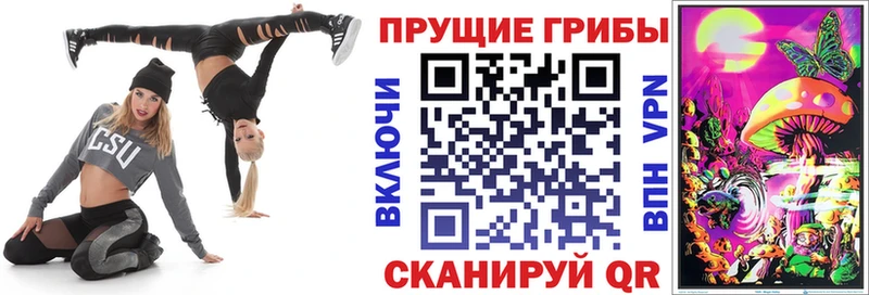 Галлюциногенные грибы Psilocybe Купить где Воткинск